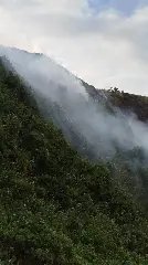 Área de vegetação de responsabilidade da Marinha do Brasil é atingida por incêndio, em Itajaí - 1