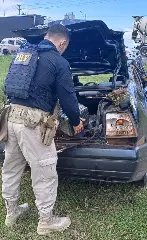 Motorista capota carro na fuga e acaba preso com 140 kg de maconha - 1
