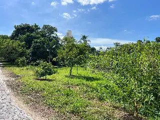 Justiça limita construção de UBS em área verde de Brusque - 1