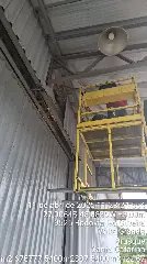 Cão caramelo assusta tamanduá que sobe galpão e é salvo pelos Bombeiros - 2