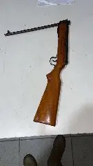 Vizinho atira em cachorro e confessa crime à polícia - 2
