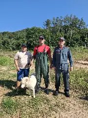 Bombeiros resgatam cachorro preso na vegetação no Águas Claras - 1