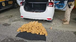 Mais de 300 kg de maconha são apreendidos durante feriadão da Páscoa - 4