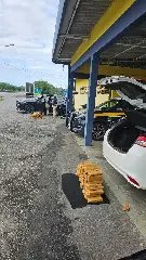 Mais de 300 kg de maconha são apreendidos durante feriadão da Páscoa - 3