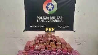 Suspeito tenta apagar provas, mas é flagrado com 236 kg de maconha - 1