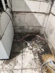 Nojeira e esgoto: pães feitos em meio à sujeira eram vendidos a consumidores  - 6