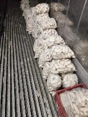 Nojeira e esgoto: pães feitos em meio à sujeira eram vendidos a consumidores  - 2