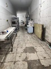 Nojeira e esgoto: pães feitos em meio à sujeira eram vendidos a consumidores  - 3