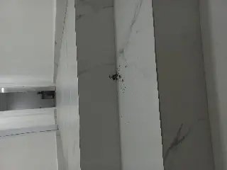 Homem armado invade apartamento da ex e tenta matar atual companheiro - 3