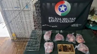 Polícia Ambiental cumpre mandados e flagra caça ilegal em SC - 1