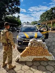 Mais de 660 kg de maconha apreendidos pela PRF em Santa Catarina - 4