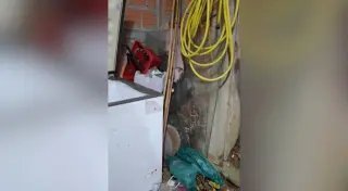 50 quilos de carne imprópria para consumo são apreendidos pela Vigilância Sanitária - 1