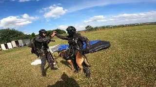 (VÍDEO) Cão da PM realiza primeiro salto de paraquedas entre cães policiais do Brasil - 1