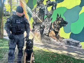 (VÍDEO) Cão da PM realiza primeiro salto de paraquedas entre cães policiais do Brasil - 2