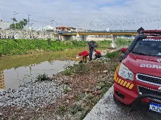 (URGENTE) Vítima é encontrada dentro do carro que submergiu no rio - 4