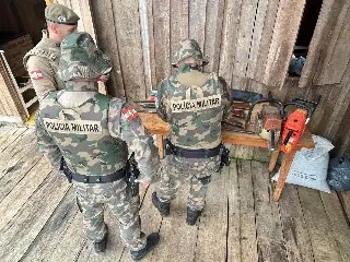 Dia da Mata Atlântica marcado por operação contra crime ambiental - 3