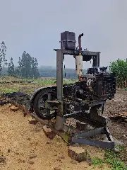 Dia da Mata Atlântica marcado por operação contra crime ambiental - 2