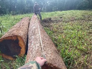 Dia da Mata Atlântica marcado por operação contra crime ambiental - 6