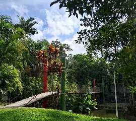 Parque Leopoldo Moritz passa por reformas e será reaberto em junho - 1