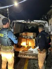 Rodovias de SC viram cenário de fuga, mordida de cachorro e toneladas de droga - 3
