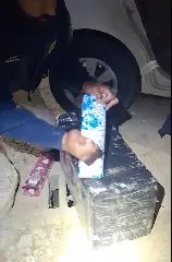 Rodovias de SC viram cenário de fuga, mordida de cachorro e toneladas de droga - 1