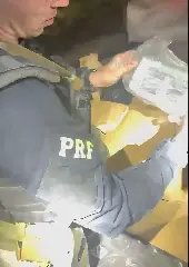 Rodovias de SC viram cenário de fuga, mordida de cachorro e toneladas de droga - 2