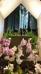 Imagem de Nossa Senhora Aparecida é restaurada e coroada no Caminho das Virtudes - 3