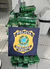 PRF impede entrega de 134 kg de maconha no Litoral Catarinense - 1