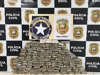Fardos de maconha são apreendidos em operação na BR-101 - 3