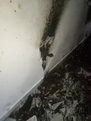 Moto elétrica pega fogo dentro da garagem de residência - 7