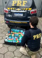 Jovem de 20 anos é presa com mais de 25 quilos de maconha - 1