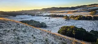 Nesta quarta: Serra catarinense entra no "modo freezer" com temperaturas negativas  - 1