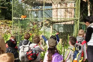 Zoobotânico realiza circuito em parceria com Samae e Fundema  - 4
