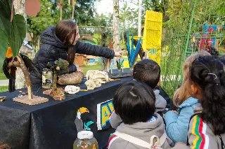 Zoobotânico realiza circuito em parceria com Samae e Fundema  - 1