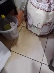 (VÍDEO) Alagamentos dentro de casa e esgoto nas ruas revoltam moradores do bairro Bateas - 1