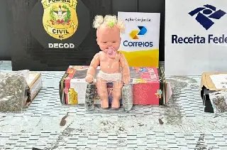"Bebê reborn" com drogas dentro é apreendido em operação em SC - 1