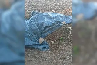 (VÍDEO) Balão com mais de 22 pessoas cai em Praia Grande e deixa 8 mortos - 2