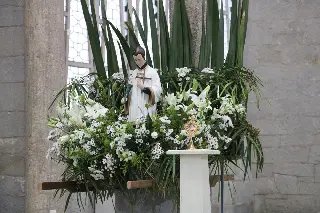 Paróquia São Luís Gonzaga celebra padroeiro - 3