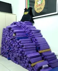 Quase 600 quilos de maconha são apreendidos em SC - 1