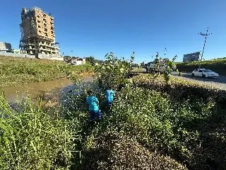 Rio Itajaí-Mirim recebe mutirão de limpeza na margem esquerda - 3