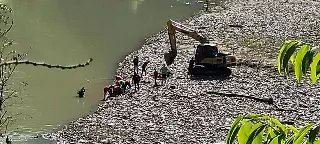Em Botuverá: motorista que morreu ao cair com carro no rio tinha 18 anos - 1