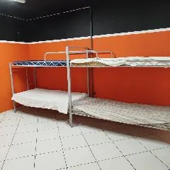 Abrigo temporário é transferido para novo local - 2