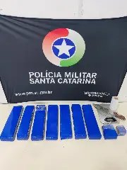 Tráfico e crime ambiental: polícia encontra maconha e animais em casa de suspeito - 1