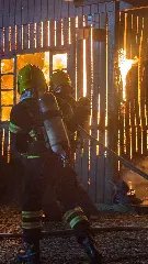 Morador fica ferido e animais são resgatados durante incêndio em residência - 4