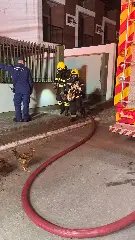 Morador fica ferido e animais são resgatados durante incêndio em residência - 2