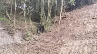 Vegetação nativa é desmatada com uso de máquinas de grande porte - 2