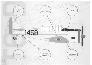 Brusque oficializa restauração do avião da FAB no Parque Leopoldo Moritz - 1