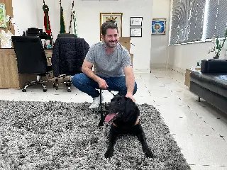 Recém-aposentada, Cadela Zaara e tutor são recebidos pelo prefeito André Vechi - 1