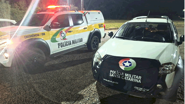 Polícia apreende 39 celulares irregulares escondidos em veículo - 1
