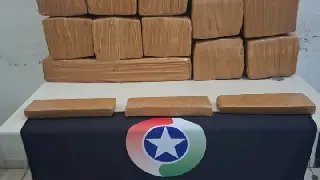 Mulher é presa com 210 kg de maconha em porta-malas de carro na BR-101 - 2